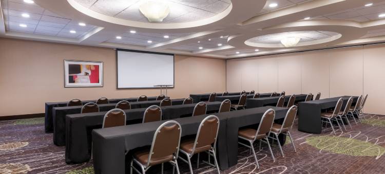 希尔顿花园酒店-亚特兰大桃树市(Hilton Garden Inn Atlanta/Peachtree City)图片