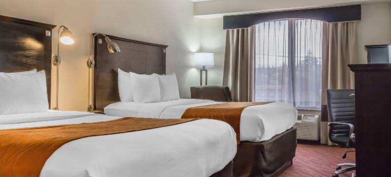 拉瓜迪亚机场舒适酒店(Comfort Inn & Suites LaGuardia Airport)图片