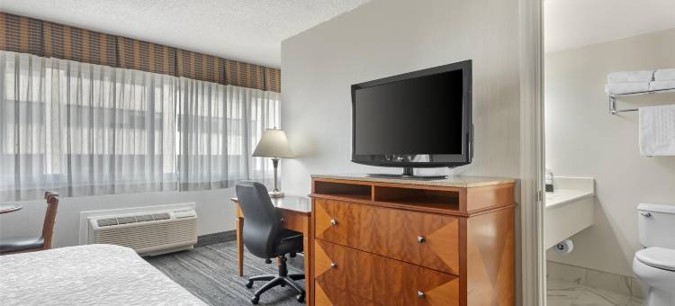 市区贝斯特韦斯特优质套房酒店(Best Western Plus Suites Downtown)图片