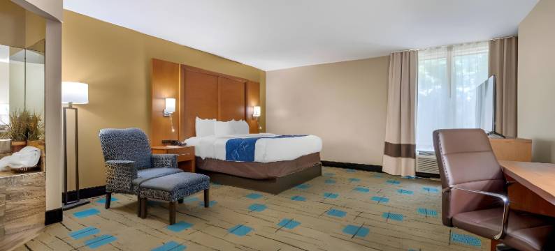 博福特-近帕里斯岛舒适套房酒店(Comfort Suites Near Mcas Beaufort)图片