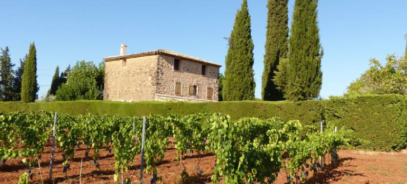 Private Pool in Provence图片