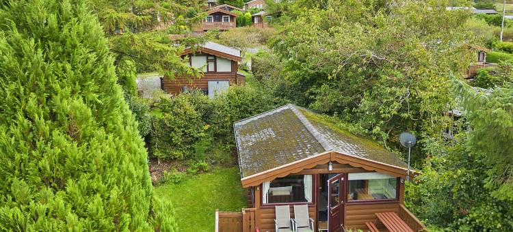 Log Cabin in Snowdonia near Rhinog Mountains图片