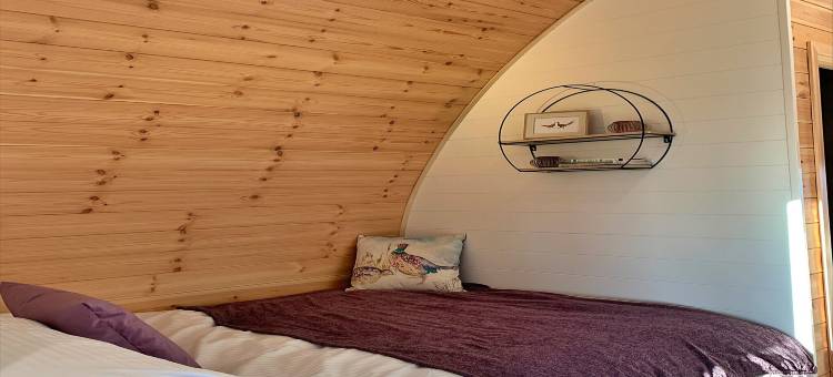 约克郡海岸线附近豪华露营木屋(Glamping Pods in Yorkshire near Coastline)图片