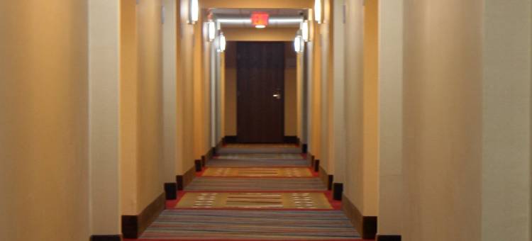 纽因顿-哈特福德智选假日酒店(Holiday Inn Express Newington - Hartford)图片