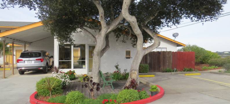 拉古那山林小屋(Laguna Lodge)图片