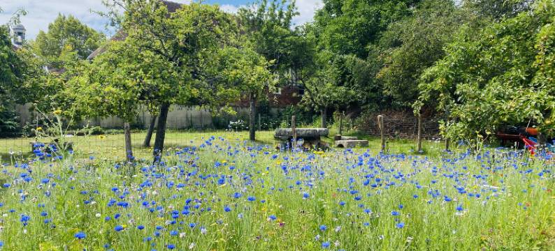 Le Gîte de Saint Phal - Holiday home图片
