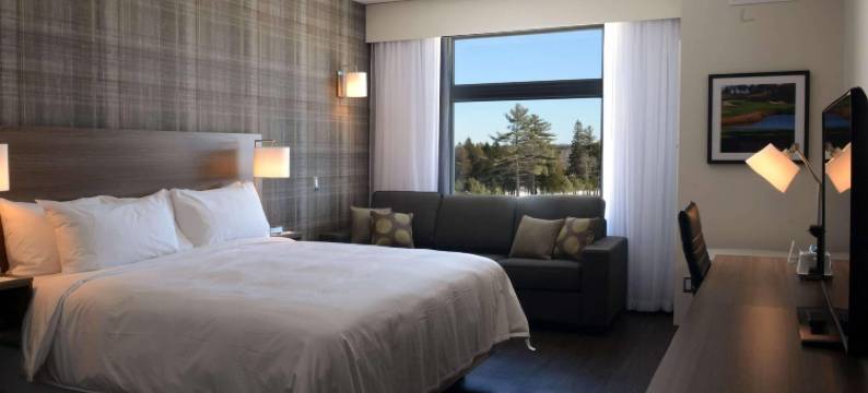 新不伦瑞克弗雷德里克顿丽笙金斯伍德酒店(Radisson Kingswood Hotel & Suites, Fredericton)图片