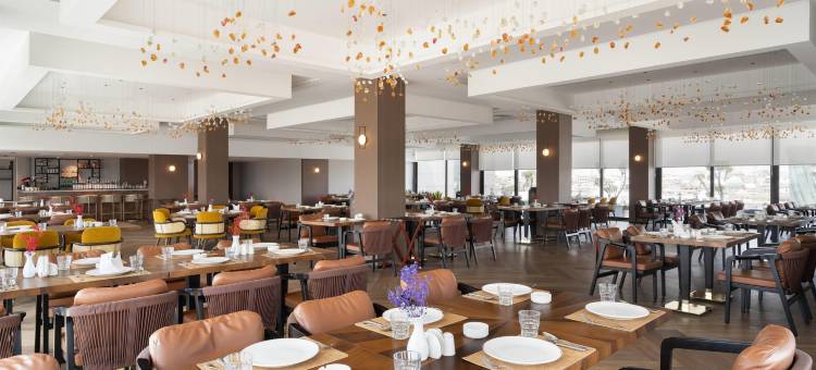 摩苏尔河滨大道华美达广场酒店(Ramada Plaza by Wyndham Mosul Corniche)图片
