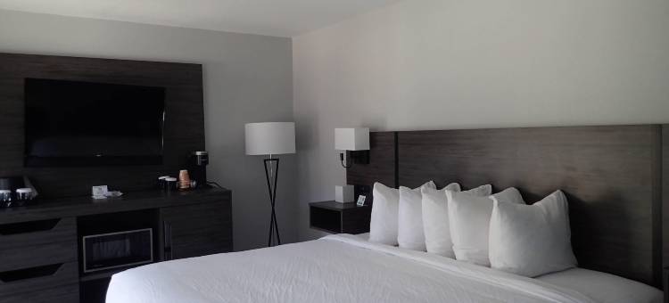 庞德罗萨旅馆，Ascend Collection 酒店(Ponderosa Lodge)图片