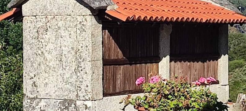 金塔达里巴玛(Quinta da Riba Má)图片