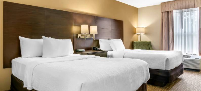 凯艺套房酒店(Quality Inn & Suites)图片