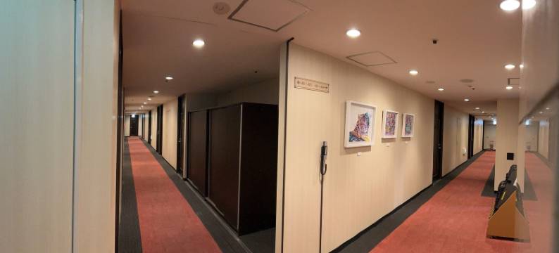 皮奥兰德酒店(Pioland Hotel)图片