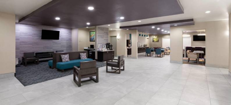 鲍特拉昆塔温德姆套房酒店(La Quinta Inn & Suites by Wyndham Boutte)图片