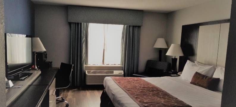 温德姆花园酒店-杰克逊维尔(Wyndham Garden Jacksonville)图片