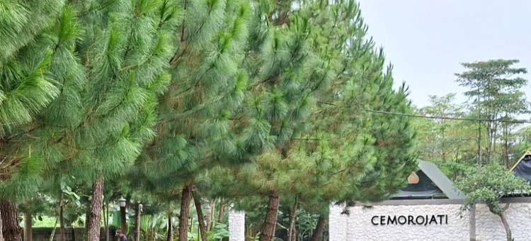 Cemoro Jati Glamping and Resort Lido图片