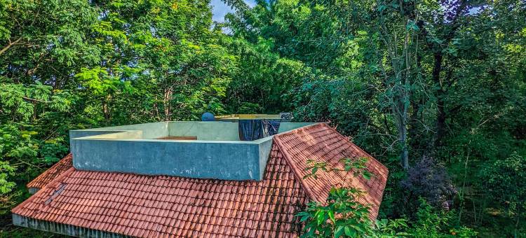 西纳提格尔度假酒店(Syna Tiger Resort Bandhavgarh)图片