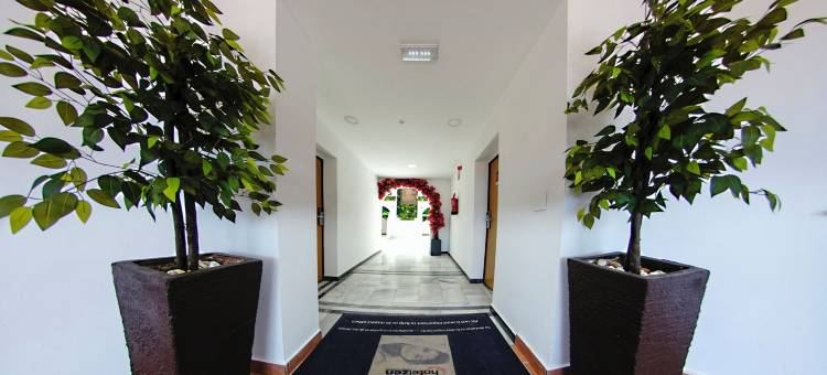 禅机场酒店(Hotel Zen Airport)图片