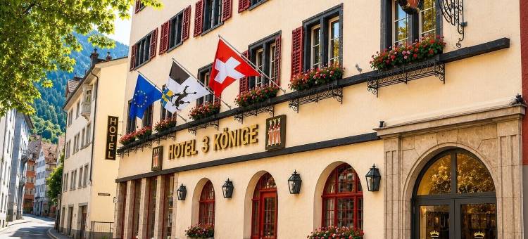 德莱科尼肯酒店(Hotel Drei Könige)图片