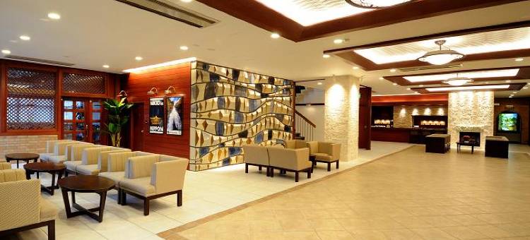 奥日光高原酒店(Okunikko Kogen Hotel)图片