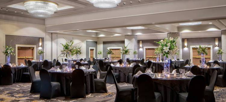 阿尔伯克基万豪酒店(Marriott Albuquerque)图片