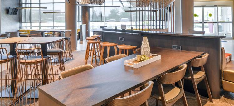 阿什本杜勒斯北SpringHill套房酒店(SpringHill Suites Ashburn Dulles North)图片
