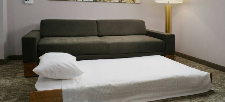 德克萨斯市SpringHill Suites酒店(SpringHill Suites Texas City)图片