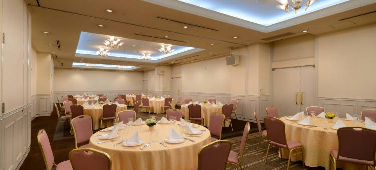 仙台日航都市酒店(Hotel JAL City Sendai)图片