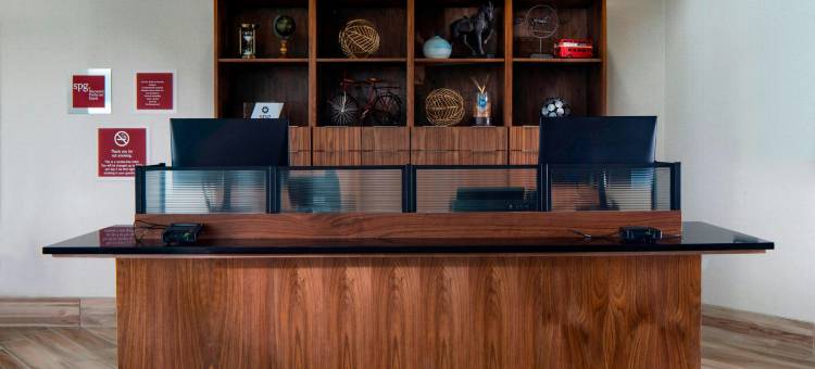 达拉斯阿林顿娱乐区福朋喜来登酒店(Four Points by Sheraton Dallas Arlington Entertainment District)图片