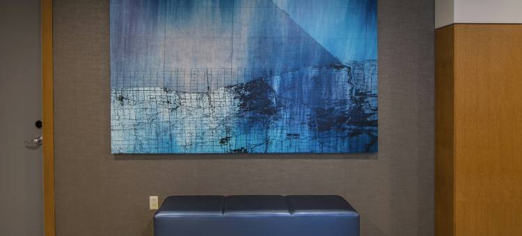 尼亚加拉瀑布希尔顿逸林酒店(DoubleTree by Hilton Niagara Falls)图片