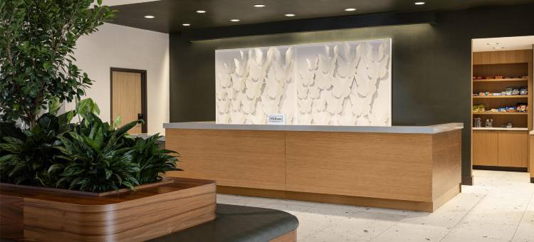 辛辛那提东北布鲁艾施希尔顿安泊套房酒店(Embassy Suites by Hilton Cincinnati Northeast Blue Ash)图片