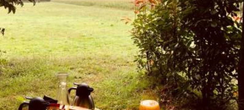 A Carballeira do Tambre图片