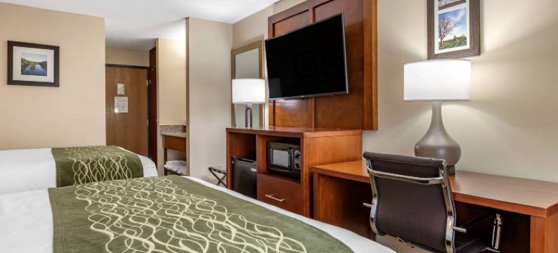 迪蒙代尔舒适套房酒店(Comfort Inn & Suites Dimondale - Lansing)图片