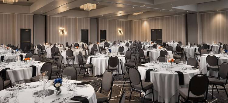 希尔顿夏洛特机场酒店(Hilton Charlotte Airport)图片