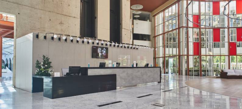 安达卢斯·欧星酒店宫殿(Eurostars Al-Ándalus Palace)图片