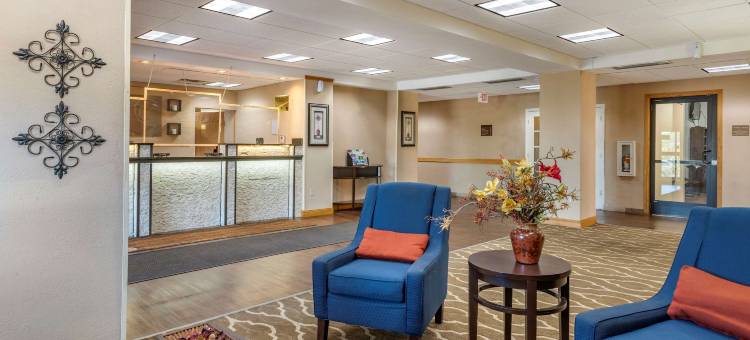 市中心-大学区舒适酒店(Comfort Inn Downtown - University Area)图片