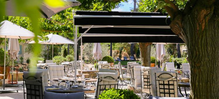 瓦鲁格斯山谷酒店水疗中心和别墅(Le Vallon de Valrugues & Spa)图片