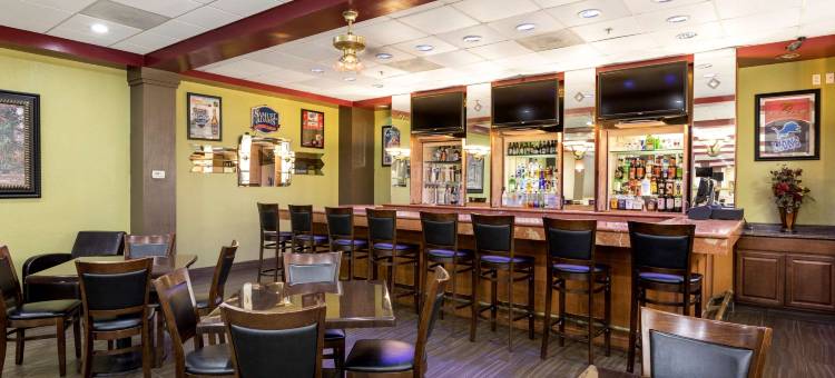 底特律大都会机场克拉丽奥酒店(Clarion Hotel Detroit Metro Airport)图片
