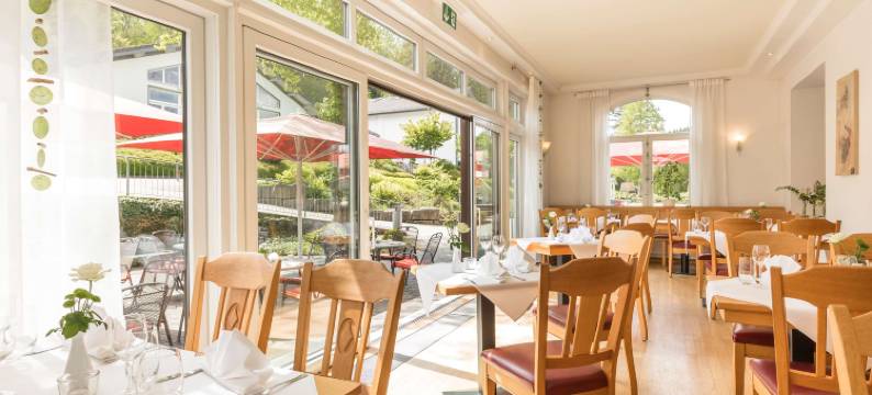 齐根多林特公园酒店(Dorint Parkhotel Siegen)图片