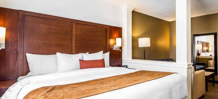 伍德兰德舒适套房酒店- 萨克拉门托机场(Comfort Suites Woodland - Sacramento Airport)图片