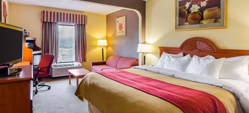 阿尔塔维斯塔品质酒店套房-南林兹堡(Quality Suites Altavista – Lynchburg South)图片