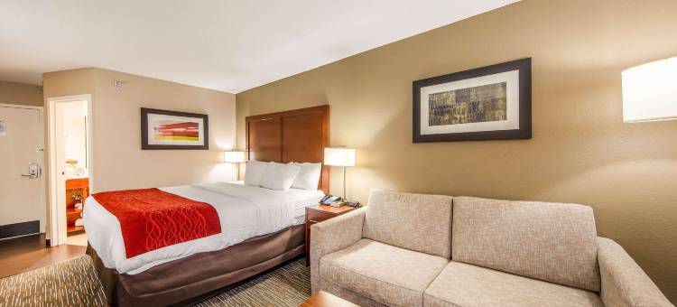 格林维尔海伍德购物中心舒适酒店(Comfort Inn Greenville - Haywood Mall)图片