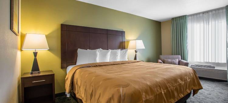 凯艺套房酒店(Quality Inn & Suites Bloomington I-55 and I-74)图片