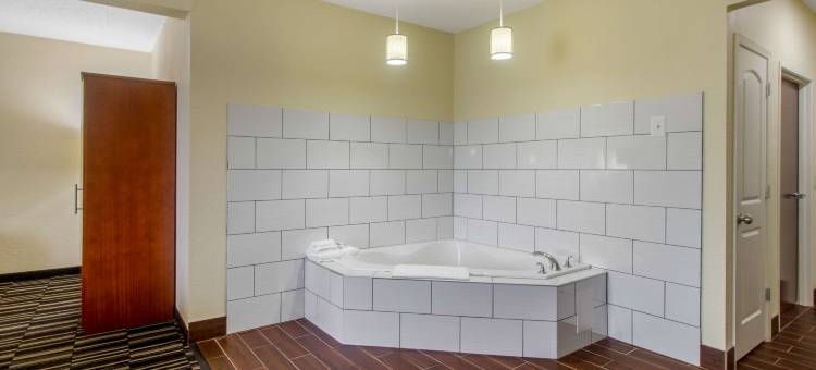 丹维尔舒适套房(Comfort Suites Danville)图片