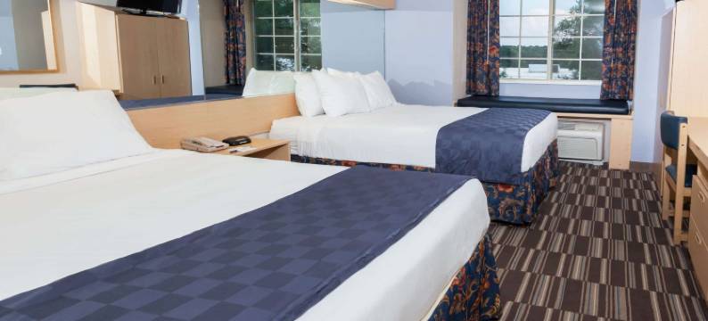 亚特兰大康纳斯麦客达套房酒店(Microtel Inn & Suites by Wyndham Conyers Atlanta Area)图片