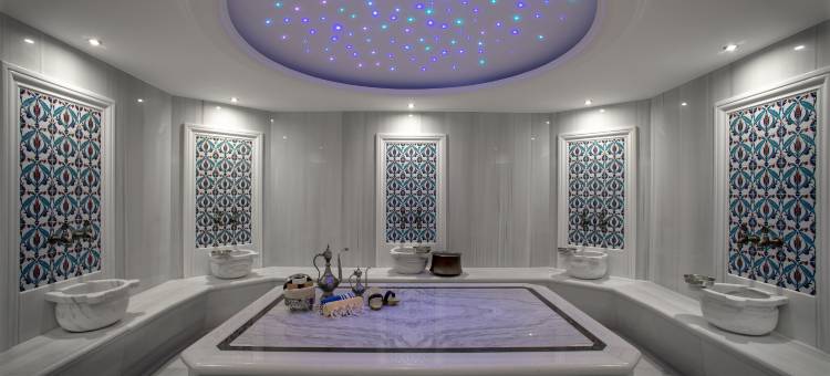 迪亚巴克尔瑞享酒店(Mövenpick Diyarbakir)图片