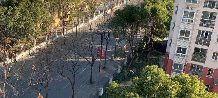 婷婷浦江镇民宿(浦雪路1号分店)图片