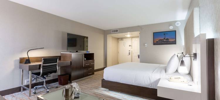 达拉斯理查森希尔顿逸林酒店(DoubleTree by Hilton Hotel Dallas - Richardson)图片