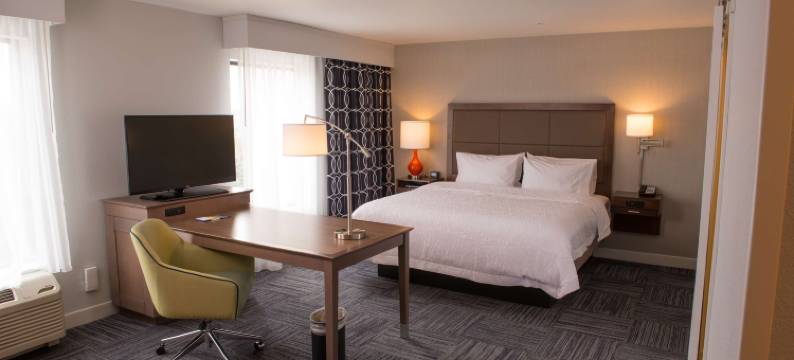 湾城欢朋套房酒店(Hampton Inn & Suites Bay City)图片