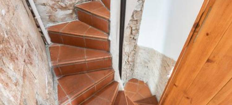 Numa Barcelona Seda图片