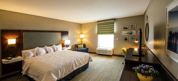 福克斯伯勒曼斯菲尔德欢朋套房酒店(Hampton Inn & Suites Foxborough -Mansfield)图片